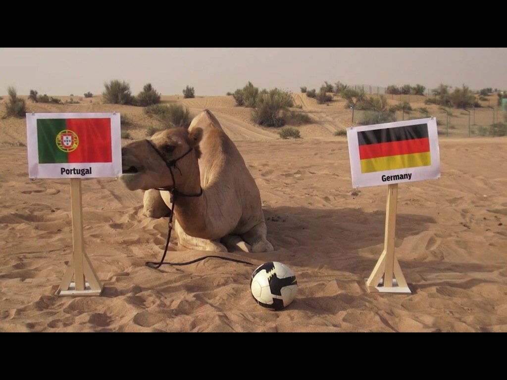 You are currently viewing “Portugal Vs Alemanha, a superstição puxa para a Alemanha”