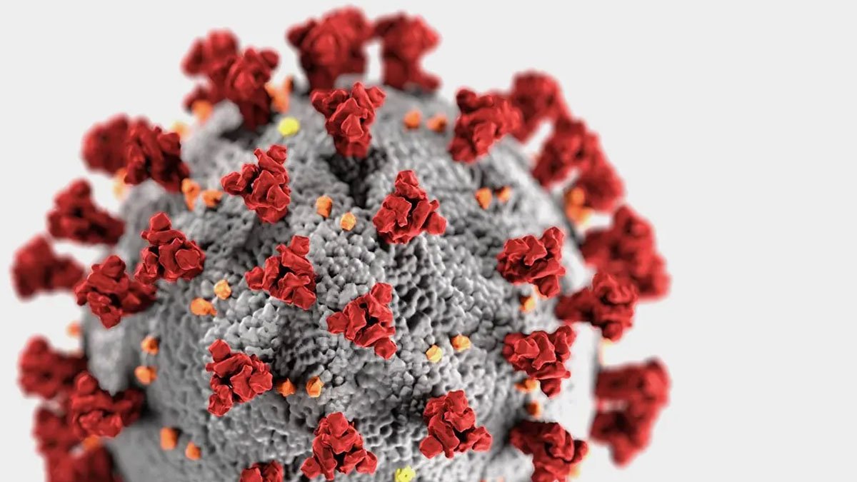 Read more about the article COVID-19: Panic is the most devastating symptom